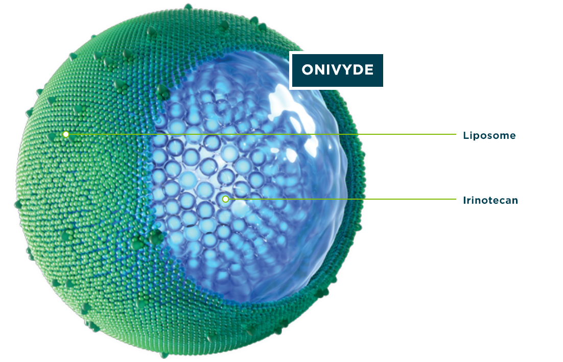 Depiction of the ONIVYDE protective shell, or liposome, surrounding the anti-tumor drug irinotecan for the treatment of metastatic pancreatic cancer.