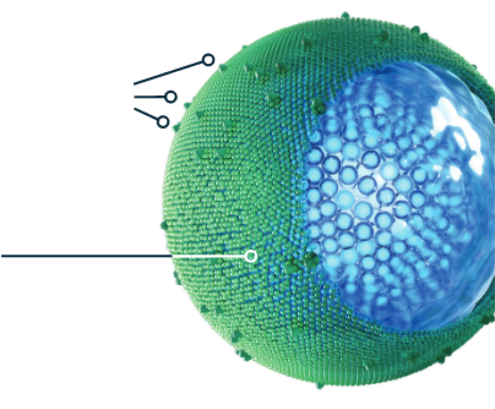 Illustration of the ONIVYDE® (irinotecan liposome injection) liposome designed for metastatic pancreatic cancer.