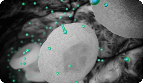 Illustration of the ONIVYDE® (irinotecan liposome injection) liposome circulating in the body.