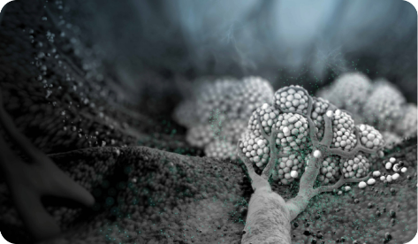 Illustration of the ONIVYDE® (irinotecan liposome injection) liposome accessing the metastatic pancreatic tumor.