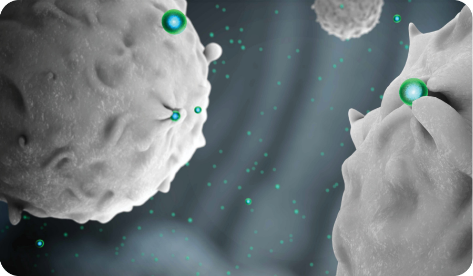 Illustration of the ONIVYDE® (irinotecan liposome injection) liposome being engulfed by the tumor-associated macrophages.