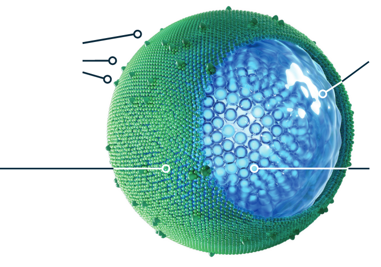 Illustration of the ONIVYDE® (irinotecan liposome injection) liposome designed for metastatic pancreatic cancer.