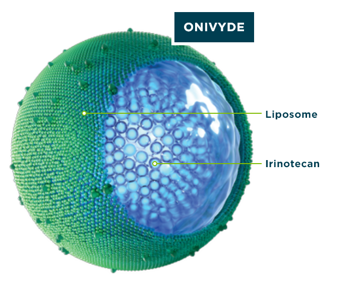 Depiction of the ONIVYDE protective shell, or liposome, surrounding the anti-tumor drug irinotecan for the treatment of metastatic pancreatic cancer.