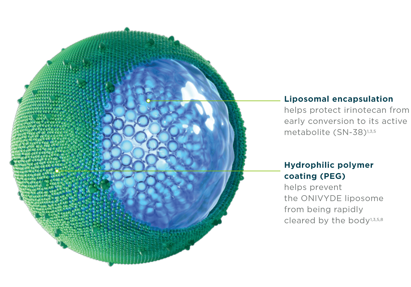Illustration of the ONIVYDE® (irinotecan liposome injection) liposome designed for metastatic pancreatic cancer