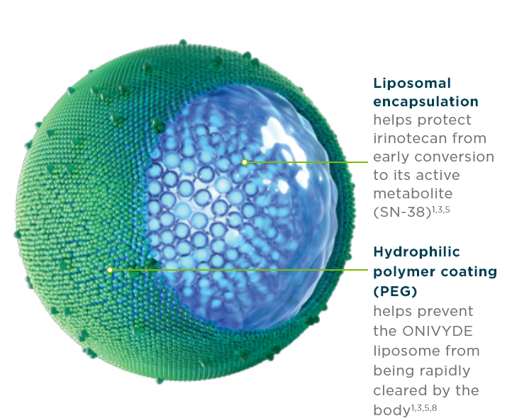 Illustration of the ONIVYDE® (irinotecan liposome injection) liposome designed for metastatic pancreatic cancer