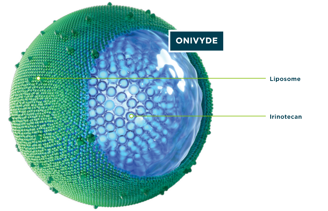 Depiction of the ONIVYDE liposome, or protective shell, surrounding the antitumor drug irinotecan for the treatment of metastatic pancreatic cancer