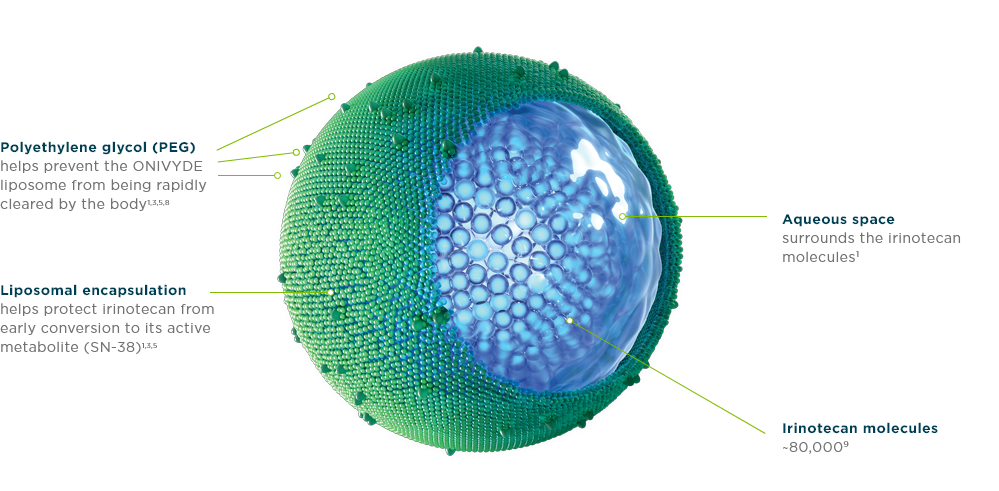 Illustration of the ONIVYDE® (irinotecan liposome injection) liposome designed for metastatic pancreatic cancer