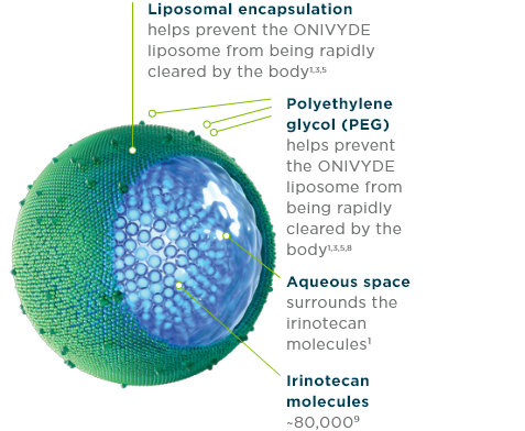 Illustration of the ONIVYDE® (irinotecan liposome injection) liposome designed for metastatic pancreatic cancer